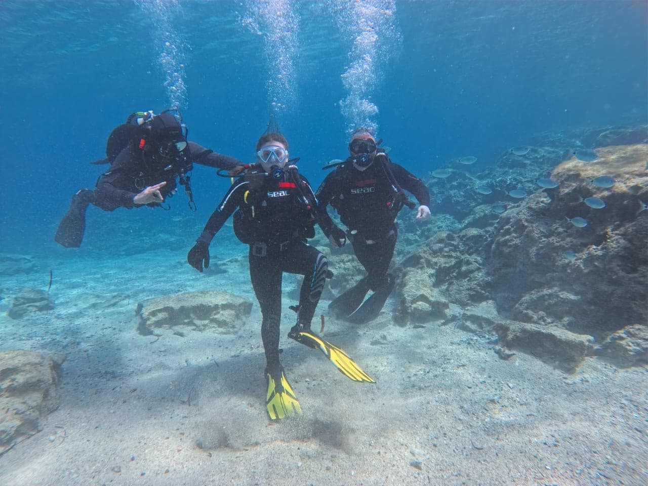 Dive Cypria